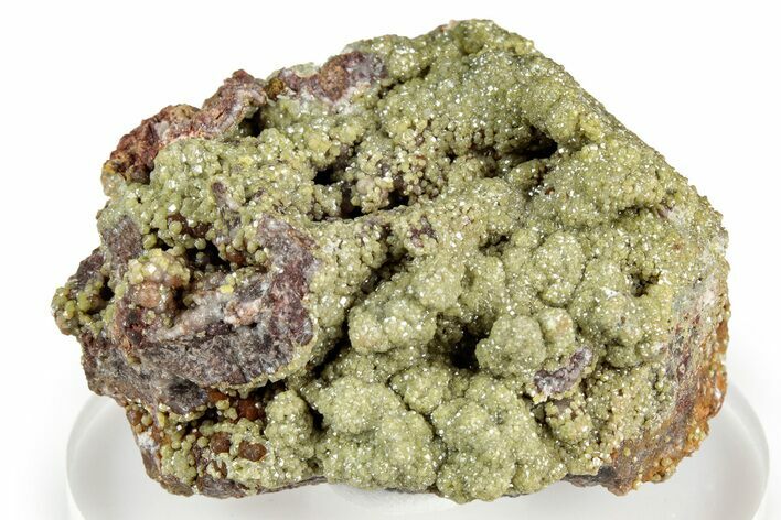 Sparkling Yellow-Green Mimetite Crystal Cluster - Congo #346167